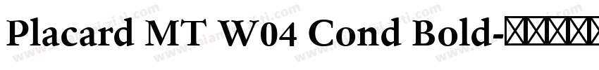Placard MT W04 Cond Bold字体转换